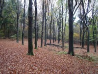 /album/amerongen/dsc00492-jpg/