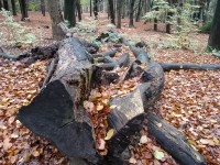 /album/amerongen/dsc00493-jpg/