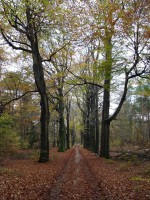 /album/amerongen/dsc00504-jpg/