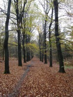 /album/amerongen/dsc00505-jpg/