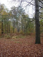 /album/amerongen/dsc00506-jpg/