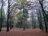 /album/amerongen/dsc00507-jpg/