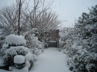 /album/wintertijd/dsc00526-jpg/