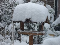 /album/wintertijd/dsc00529-jpg/
