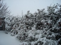 /album/wintertijd/dsc00531-jpg/