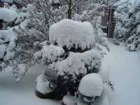 /album/wintertijd/dsc00532-jpg/
