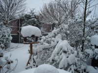 /album/wintertijd/dsc00533-jpg/