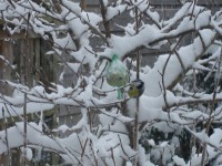 /album/wintertijd/dsc00536-jpg/