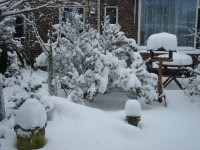 /album/wintertijd/dsc00537-jpg/