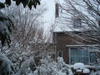 /album/wintertijd/dsc00538-jpg/