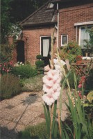 /album/moestuin/a0-jpg/